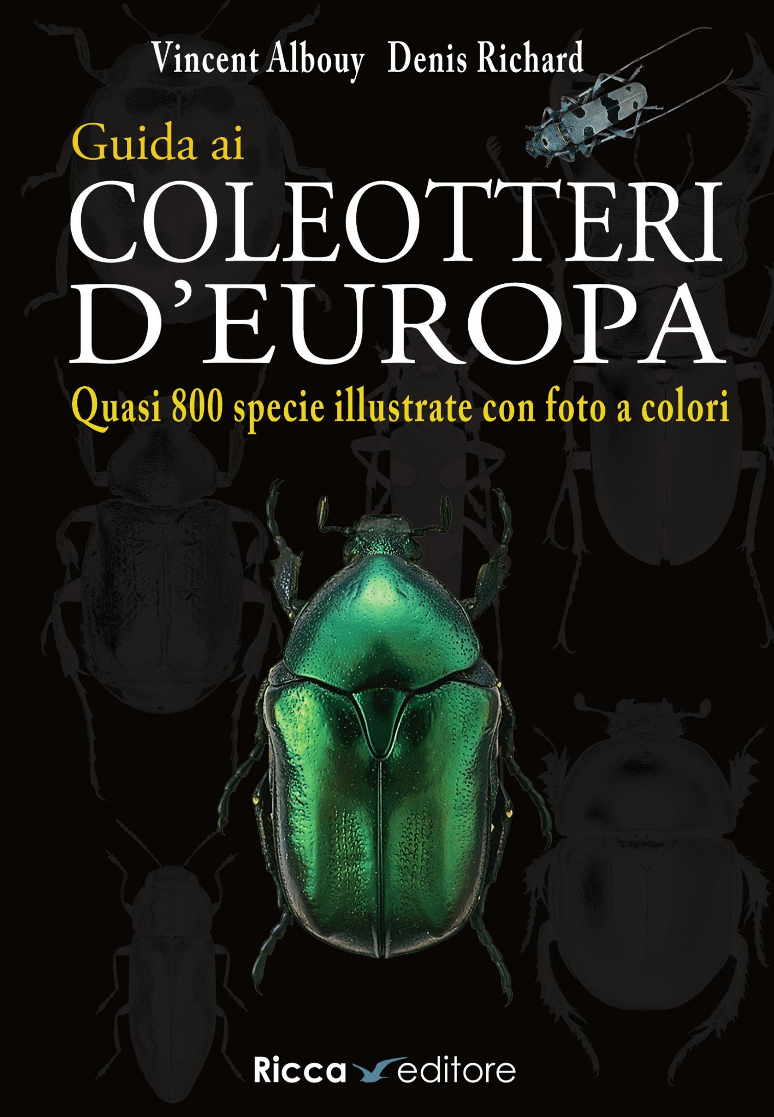Ricca Editore Guida ai coleotteri d'Europa libro insetti foto