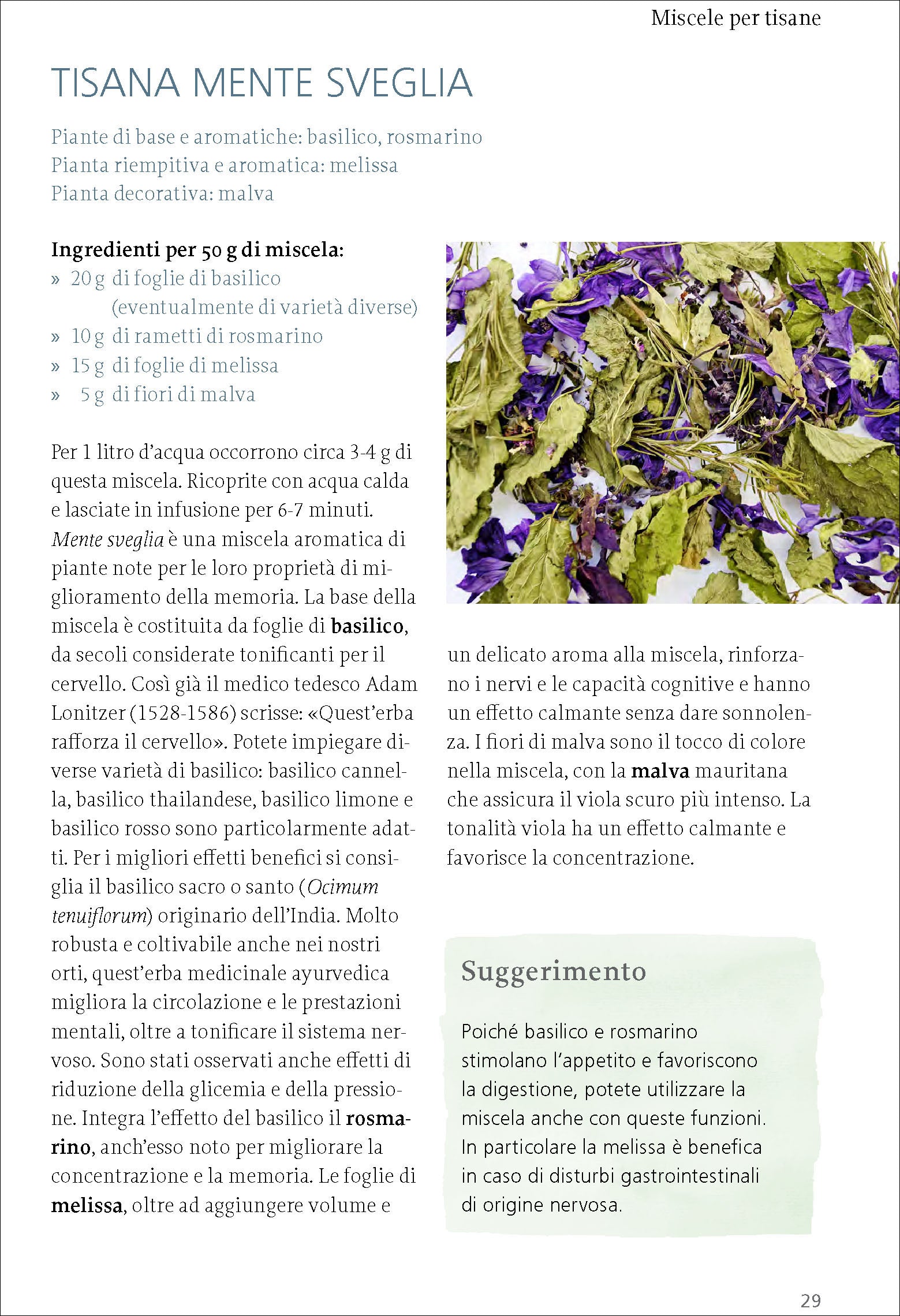 Ricca Scienze Gastronomiche Tisane erbe frutti selvatici manuale Beiser