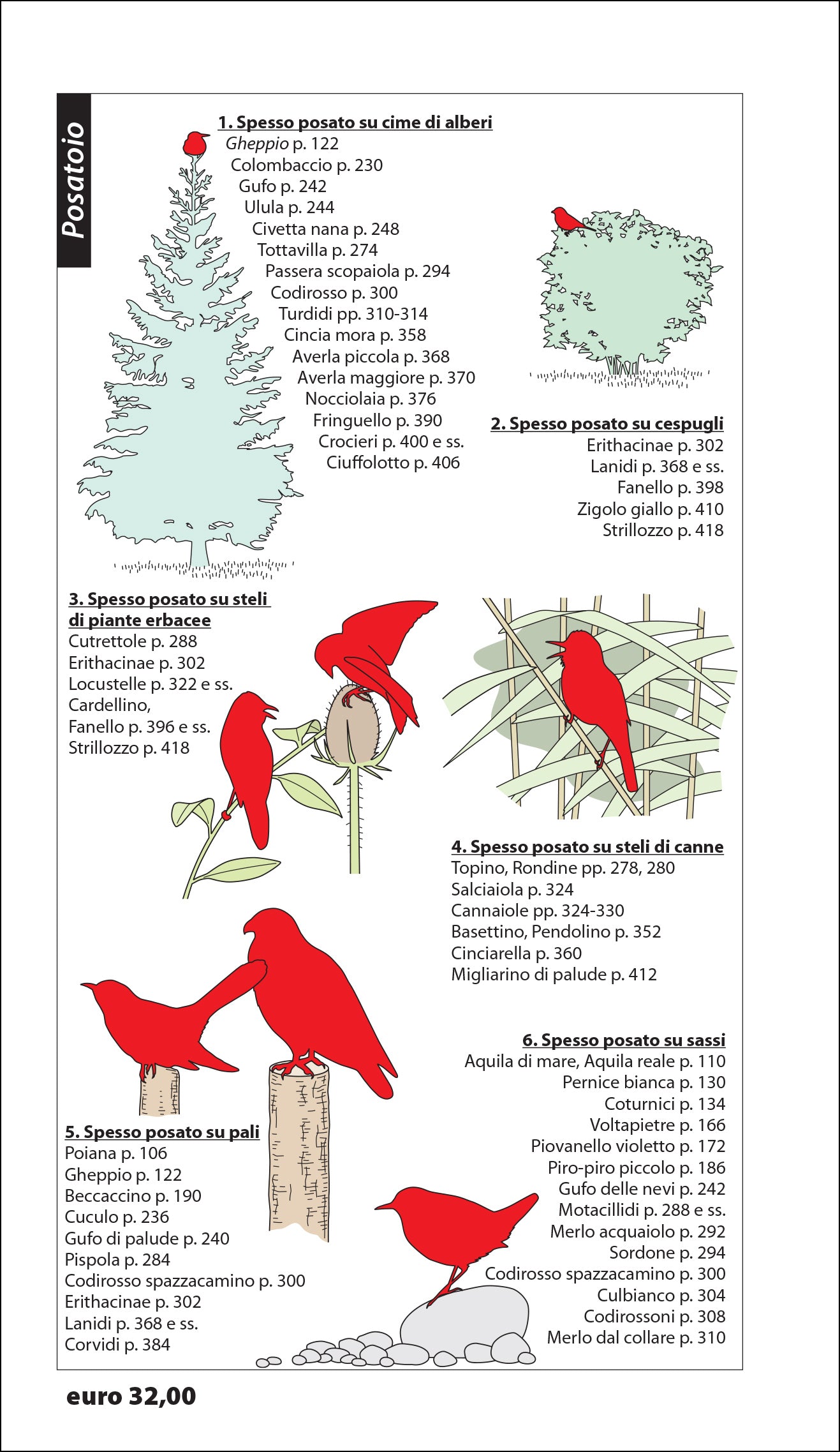 Ricca Editore Birdwatching facile guida 400 specie 1400 foto