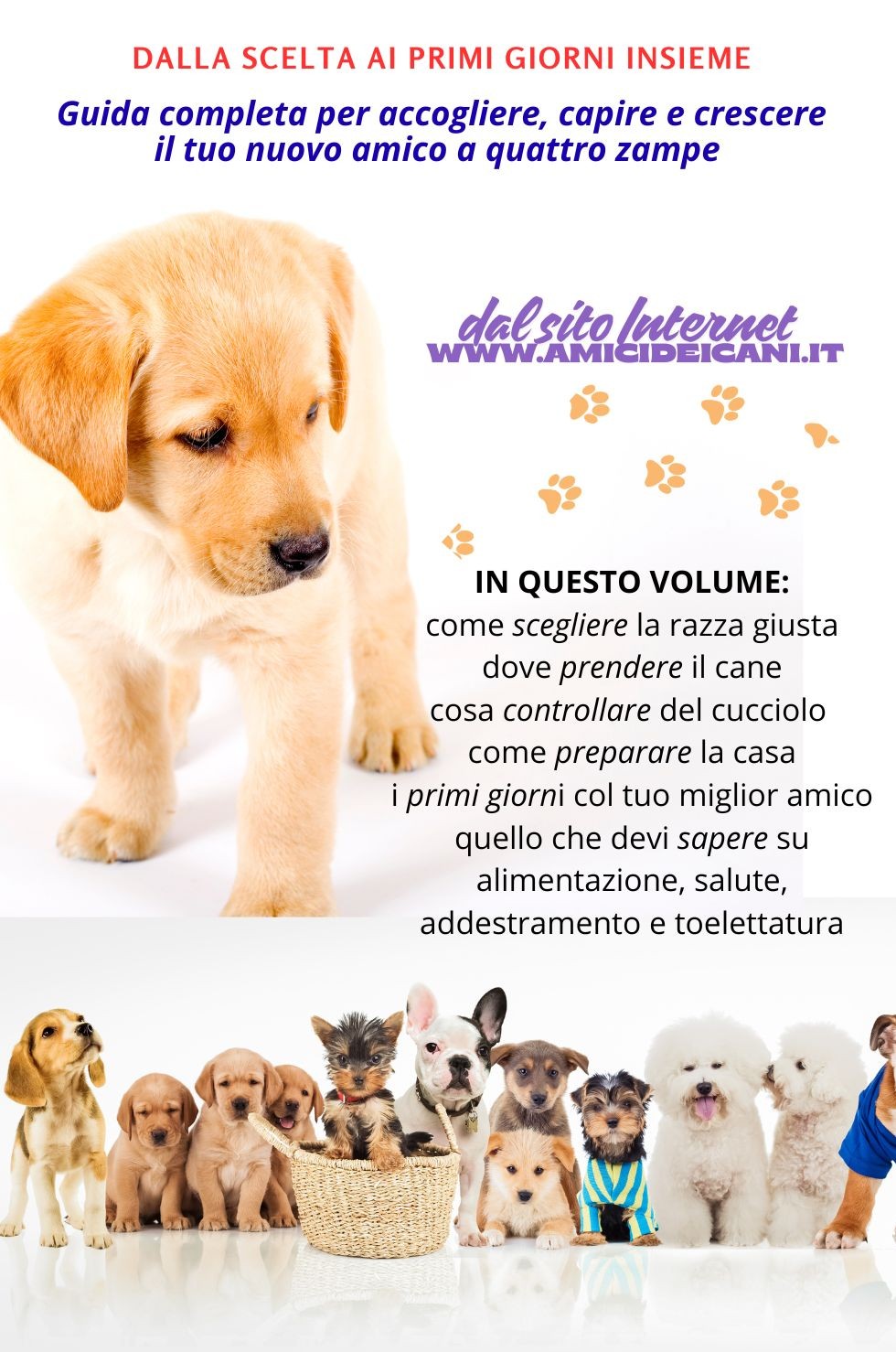 Manna Edizioni Cani Avrò un cucciolo libro razza alimentazione