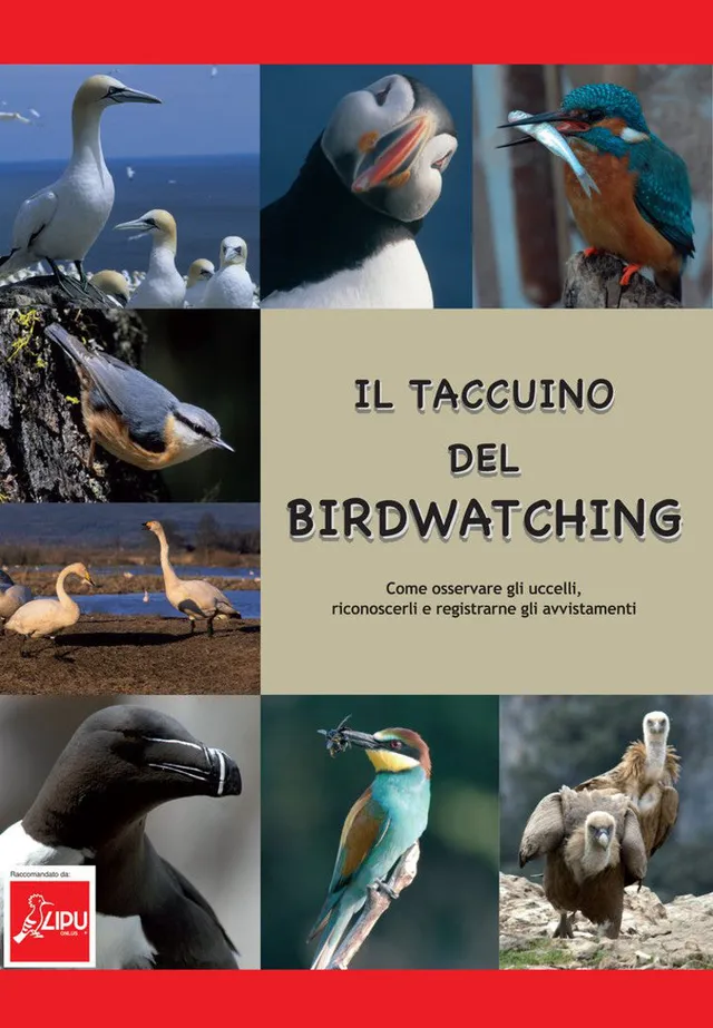 Ricca Editore Il taccuino del birdwatching guida uccelli con disegni