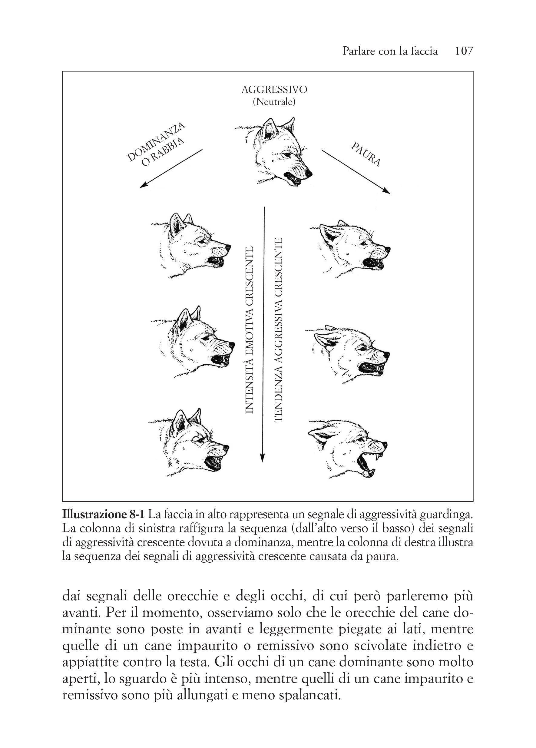 Ricca Editore Capire il linguaggio dei cani libro cinofilia