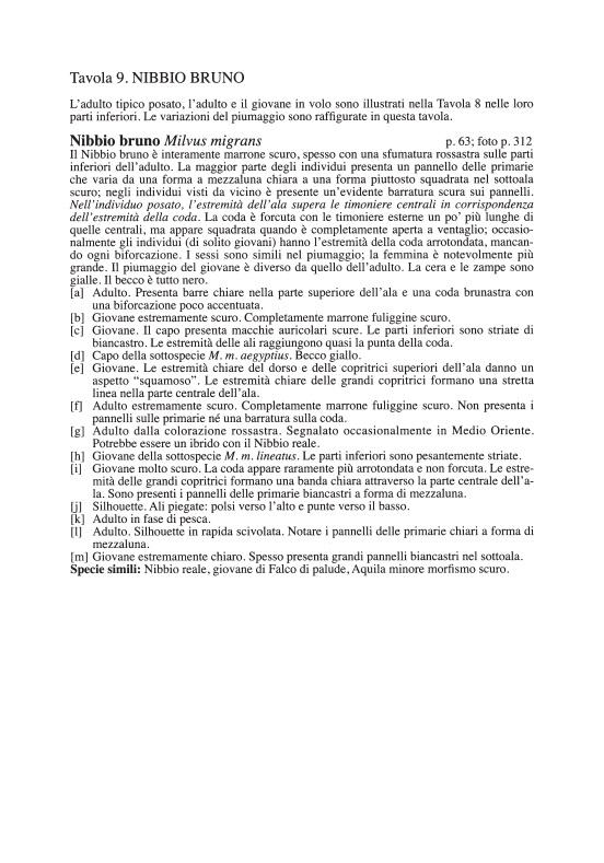 Ricca Editore Guida ai rapaci d'Europa guida da campo aquile e falchi
