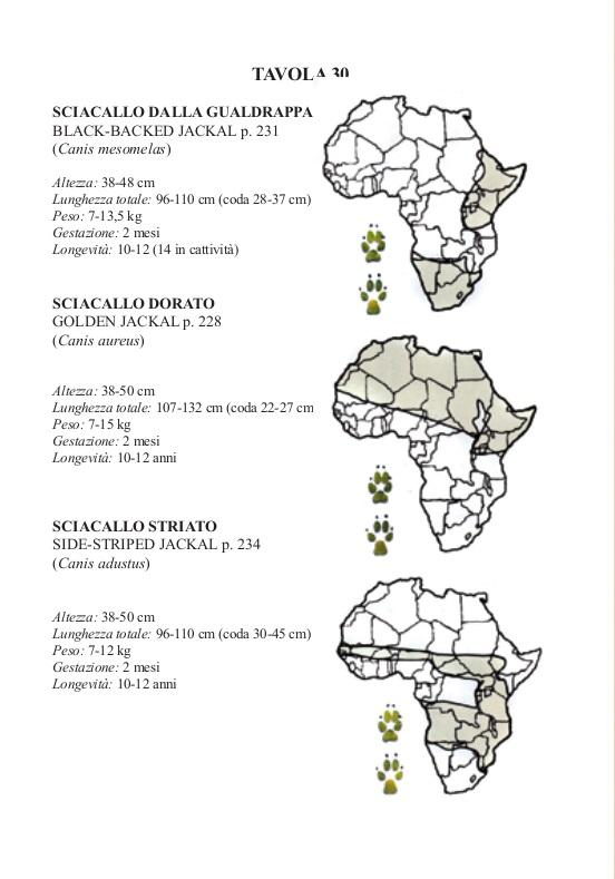 Ricca Editore Mammiferi Africa guida safari 100 specie