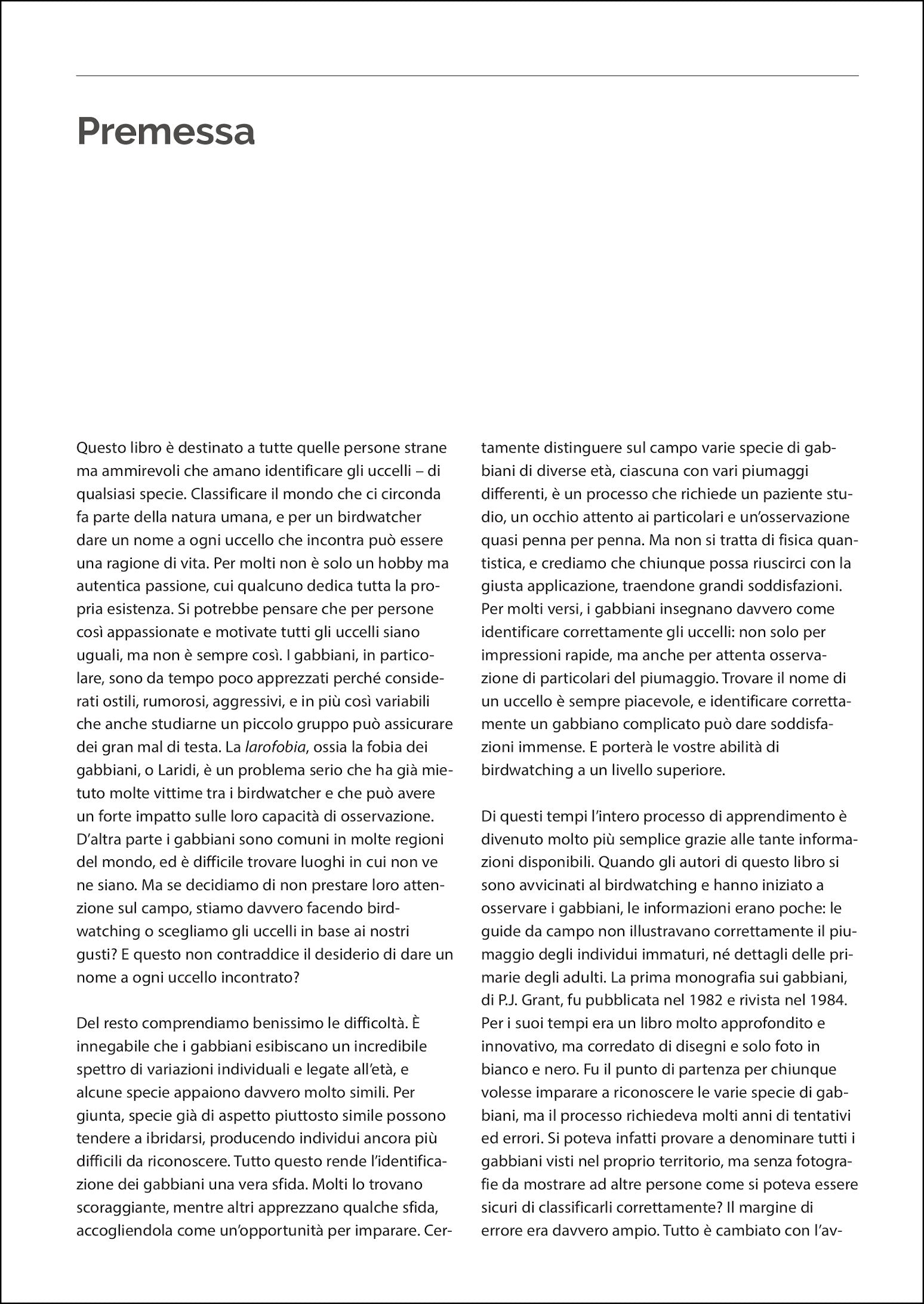 Ricca Editore Guida gabbiani Europa libro fotografico 1400 foto