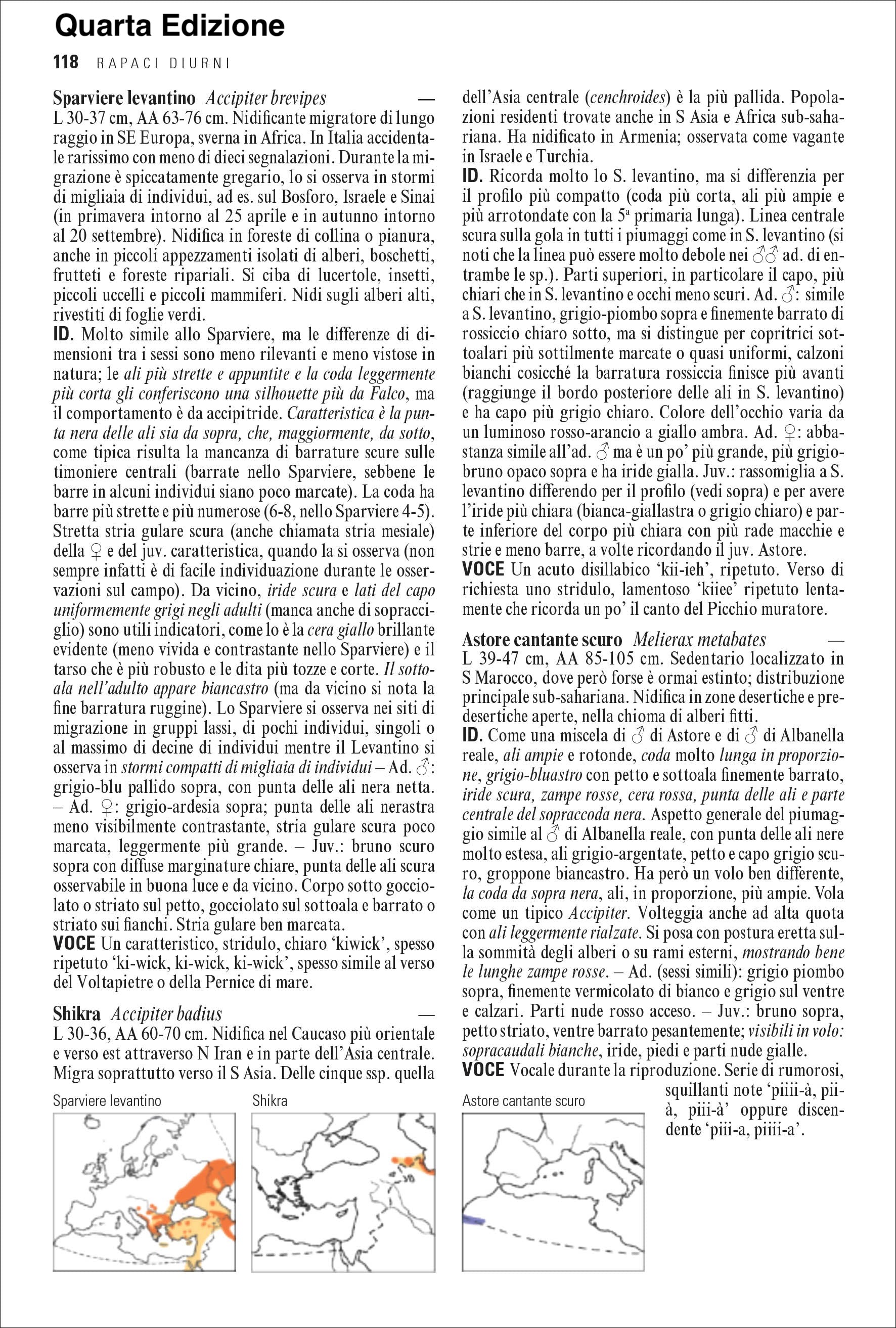 Ricca Birdwatching Guida uccelli d'Europa libro quarta edizione