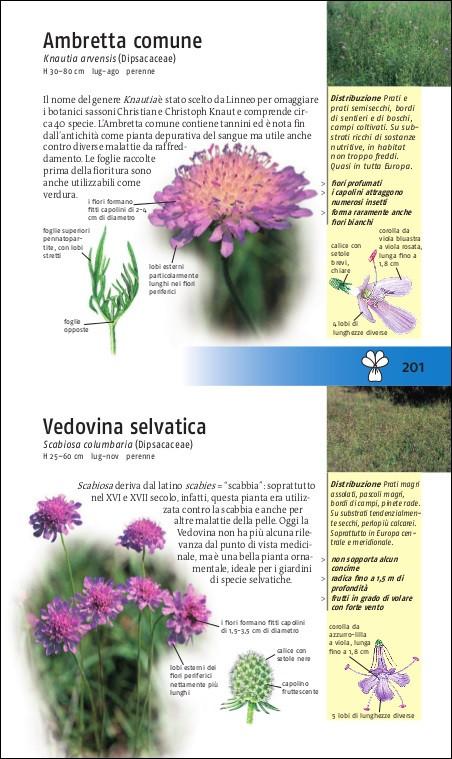 Ricca Editore Riconoscere i fiori spontanei libro tascabile 450 specie