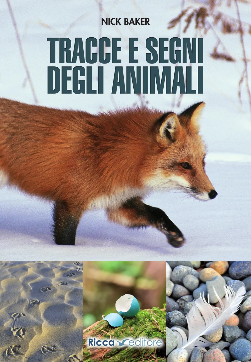 Ricca Editore Scienze Naturali Tracce e segni degli animali libro foto