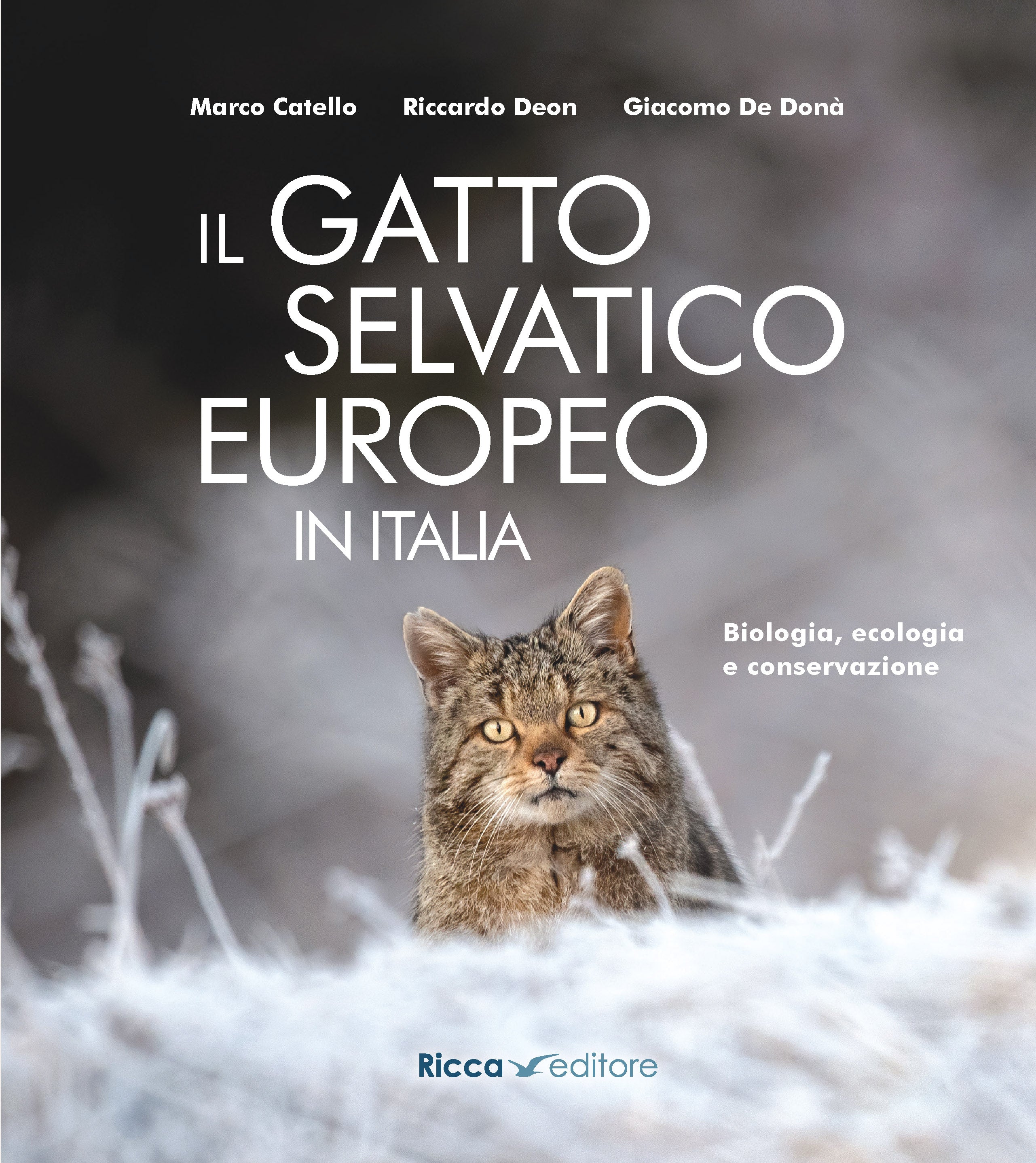 Ricca Editore Mammiferi Gatto selvatico europeo libro 150 foto