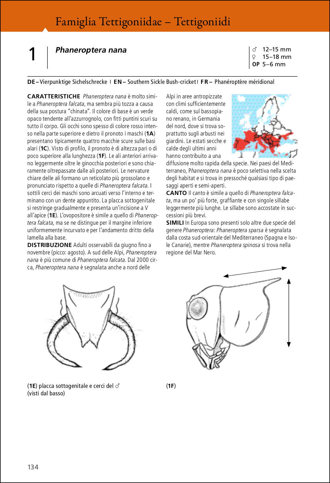 Ricca Editore Insetti Grilli e cavallette d'Europa libro 280 specie