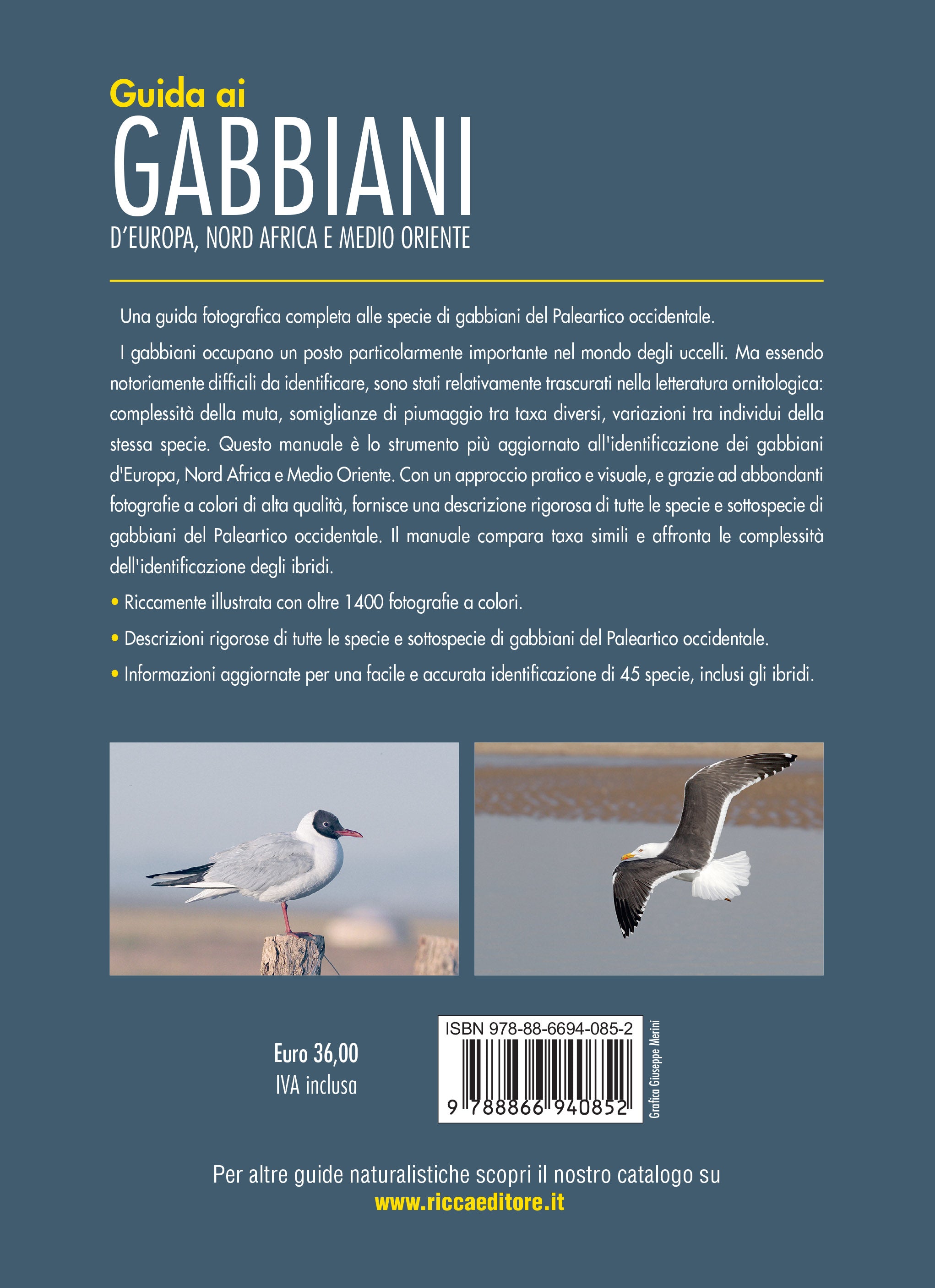 Ricca Editore Guida gabbiani Europa libro fotografico 1400 foto