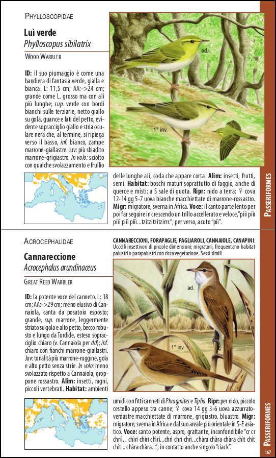 Ricca Editore Uccelli del Mediterraneo guida tascabile 400