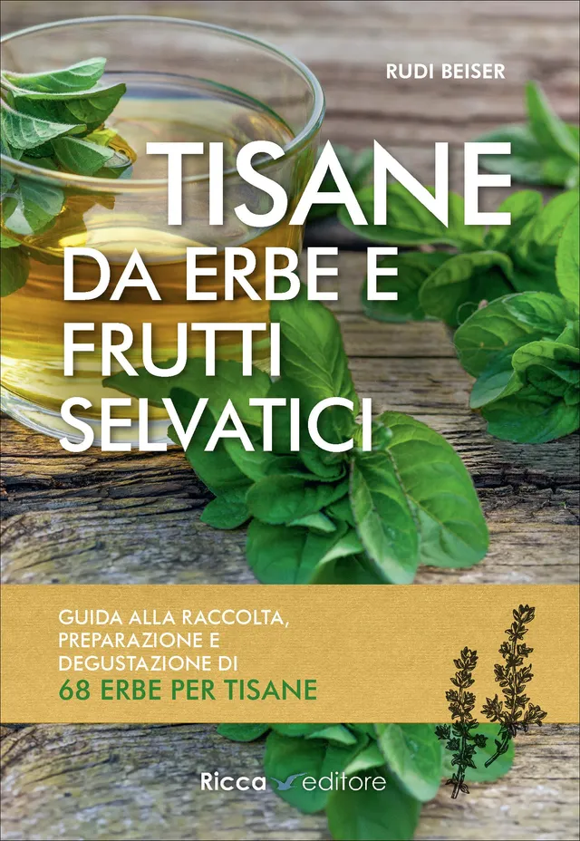 Ricca Scienze Gastronomiche Tisane erbe frutti selvatici manuale Beiser