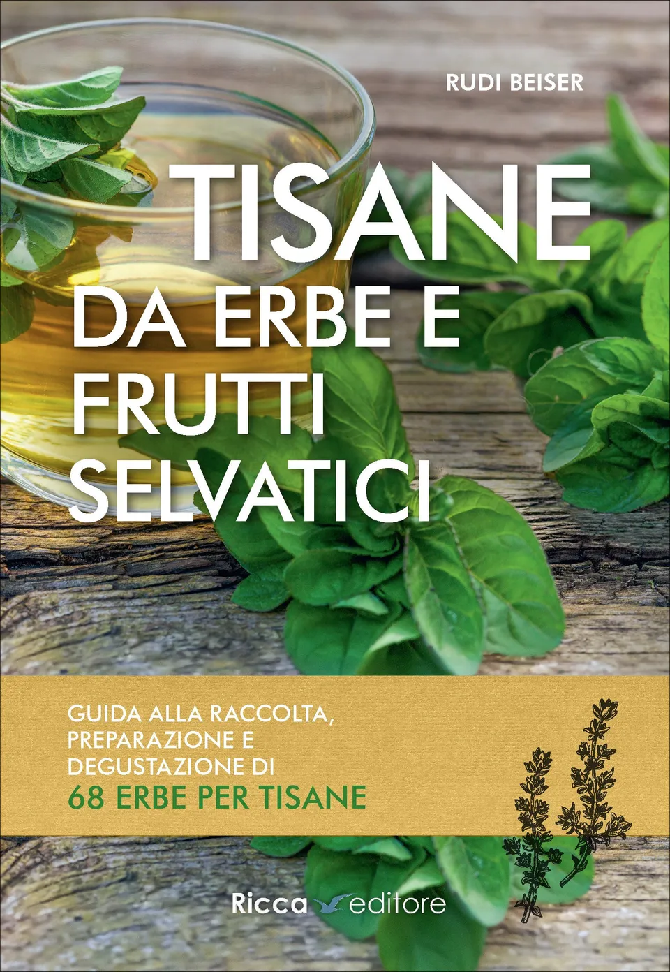 Ricca Scienze Gastronomiche Tisane erbe frutti selvatici manuale Beiser