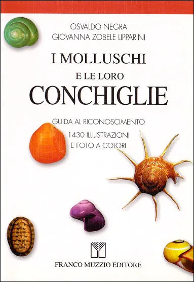 Ricca Mare e acque dolci I molluschi e le loro conchiglie guida
