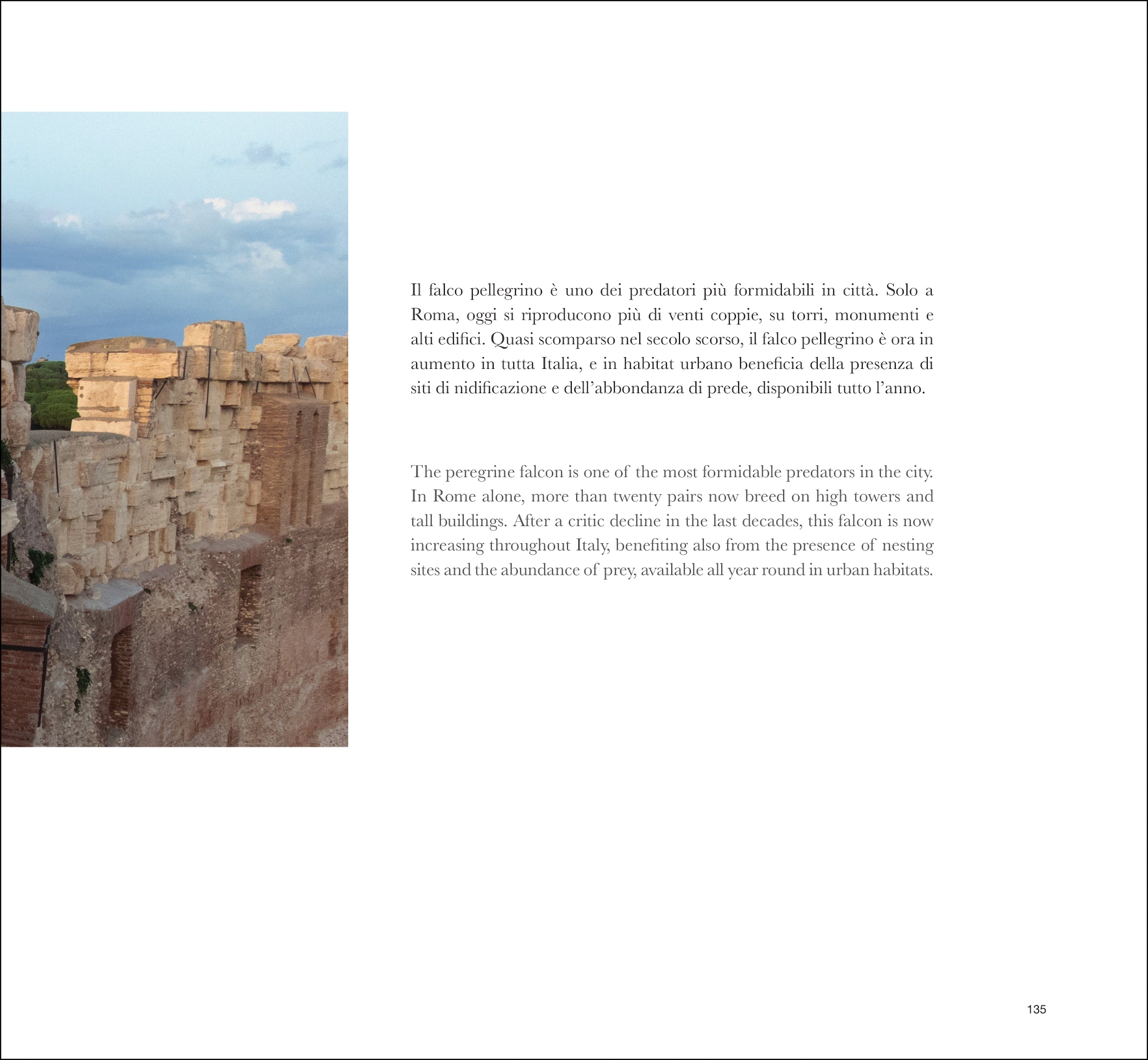 Ricca Storia e Natura SPECTIO libro fotografico Colosseo