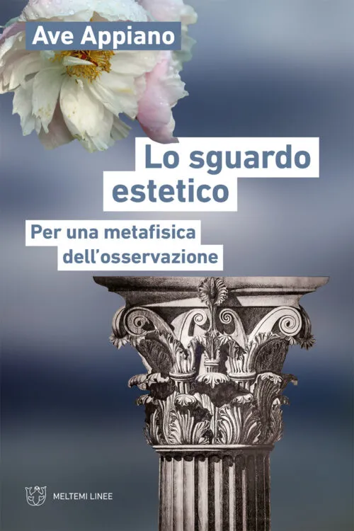 Meltemi Lo sguardo estetico libro estetica Linee