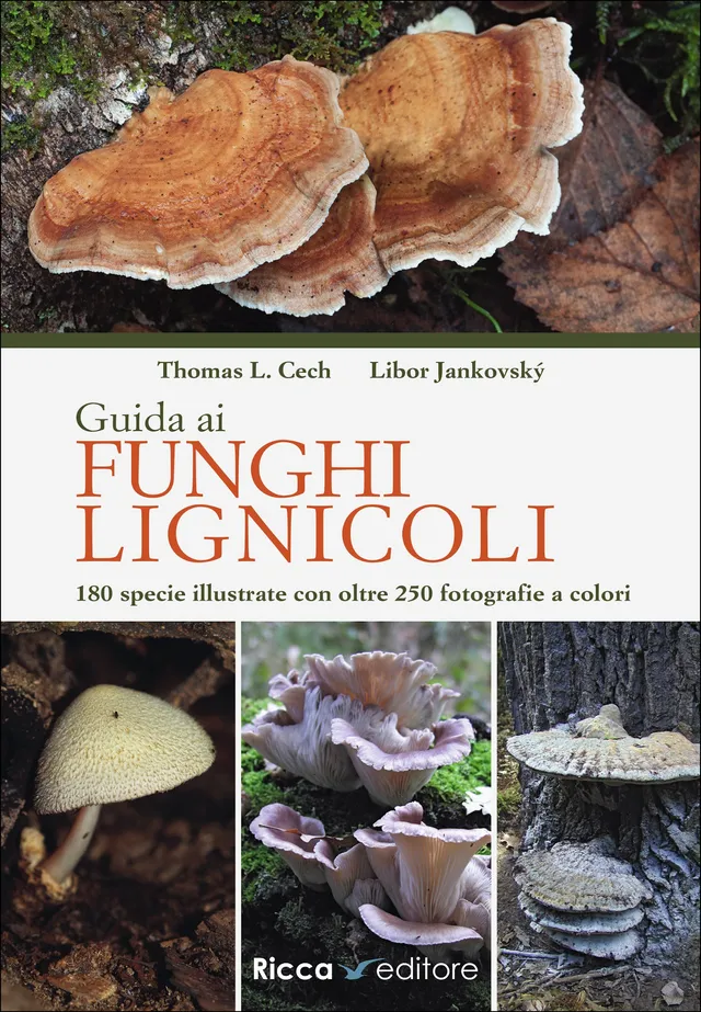 Ricca Editore Funghi Guida ai funghi lignicoli libro 180 specie