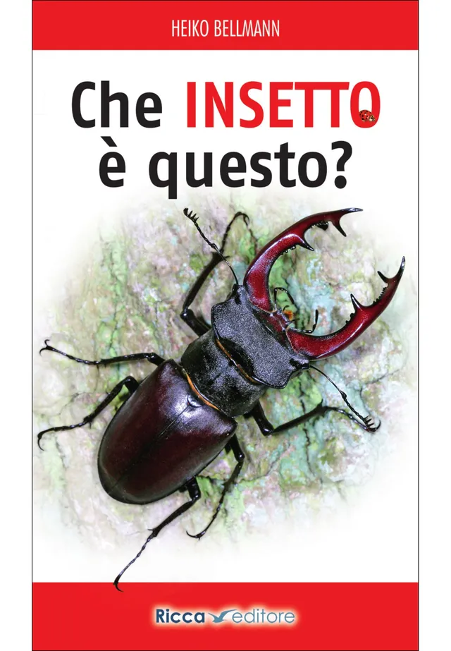 Ricca Editore Che insetto è questo? guida insetti 454