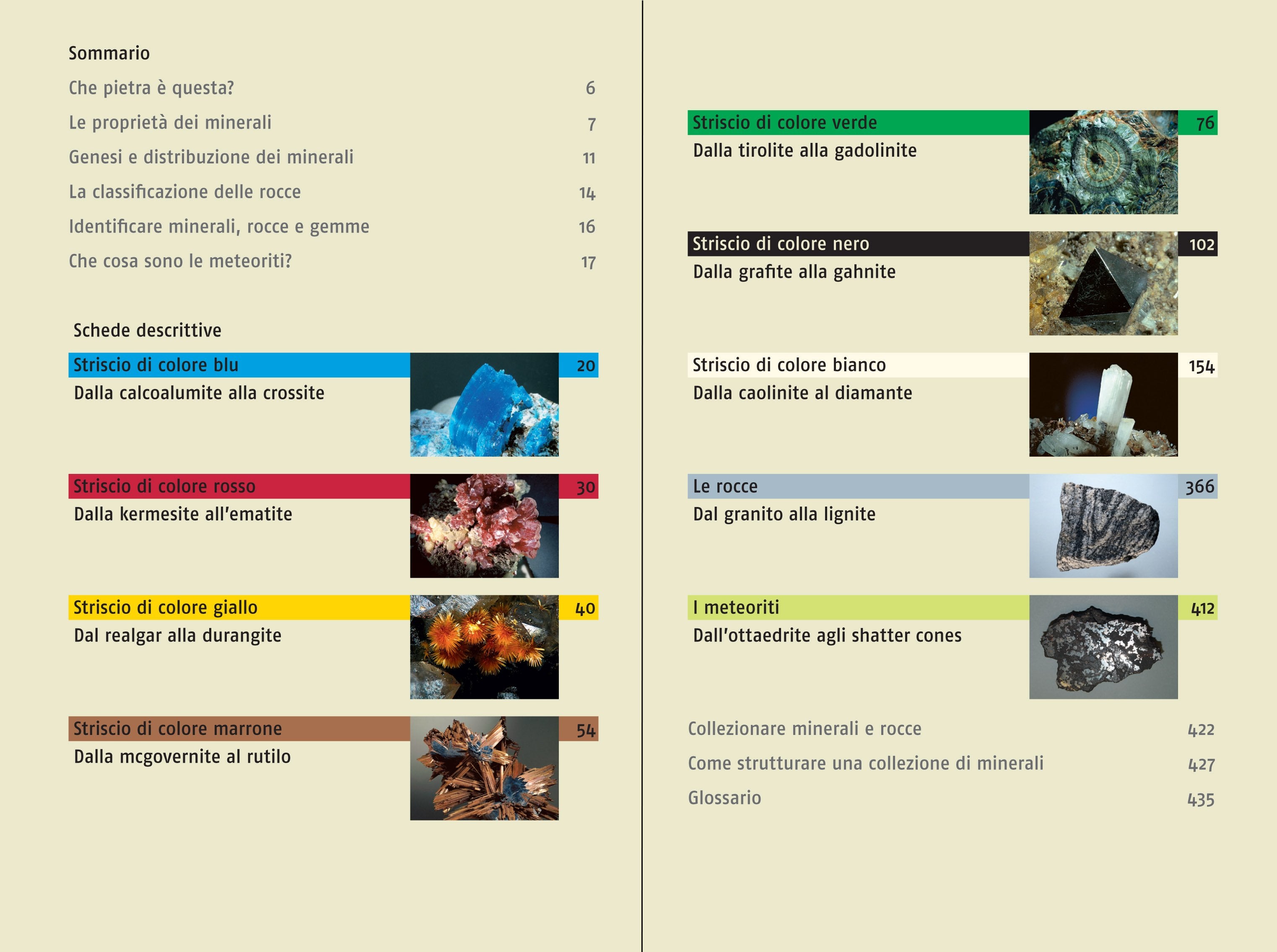 Ricca Editore Minerali Guida ai minerali libro 700 specie