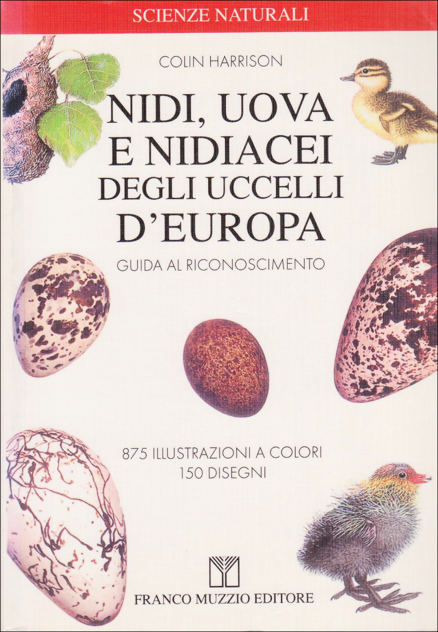Ricca Birdwatching Nidi, uova e nidiacei uccelli Europa libro
