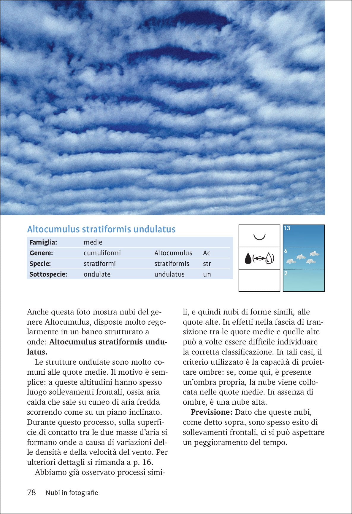 Ricca Editore Nuvole e altri fenomeni nel cielo libro meteorologia 200 foto