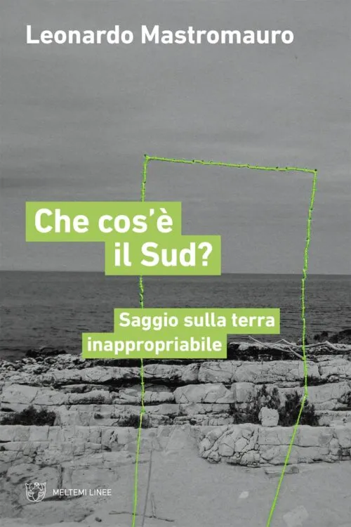 Che cos’è il Sud? libro Linee Meltemi