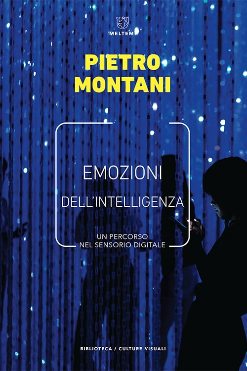 Meltemi Emozioni dell'intelligenza libro estetica visuale