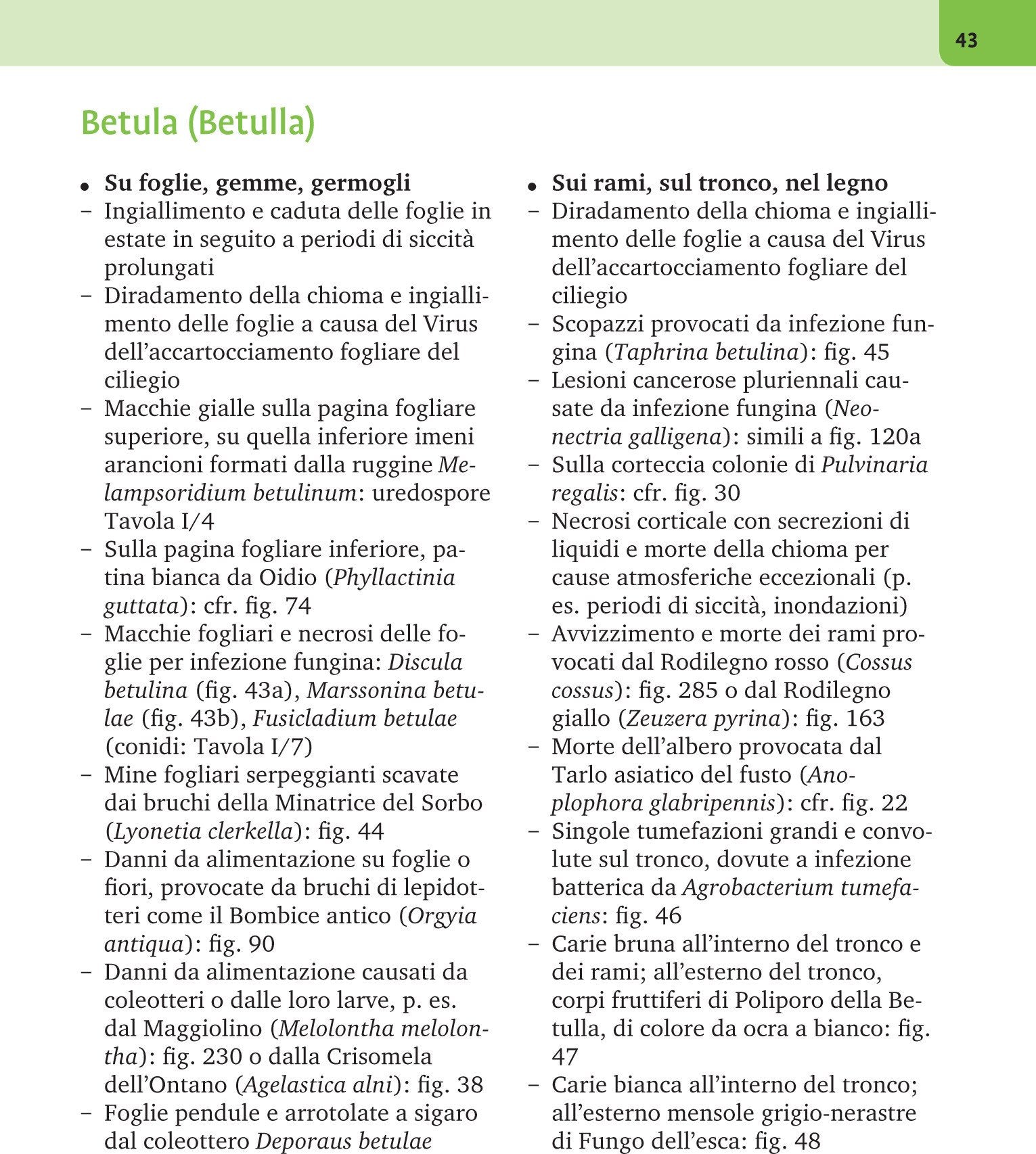 Ricca Editore Botanica Atlante malattie piante legnose 588 foto