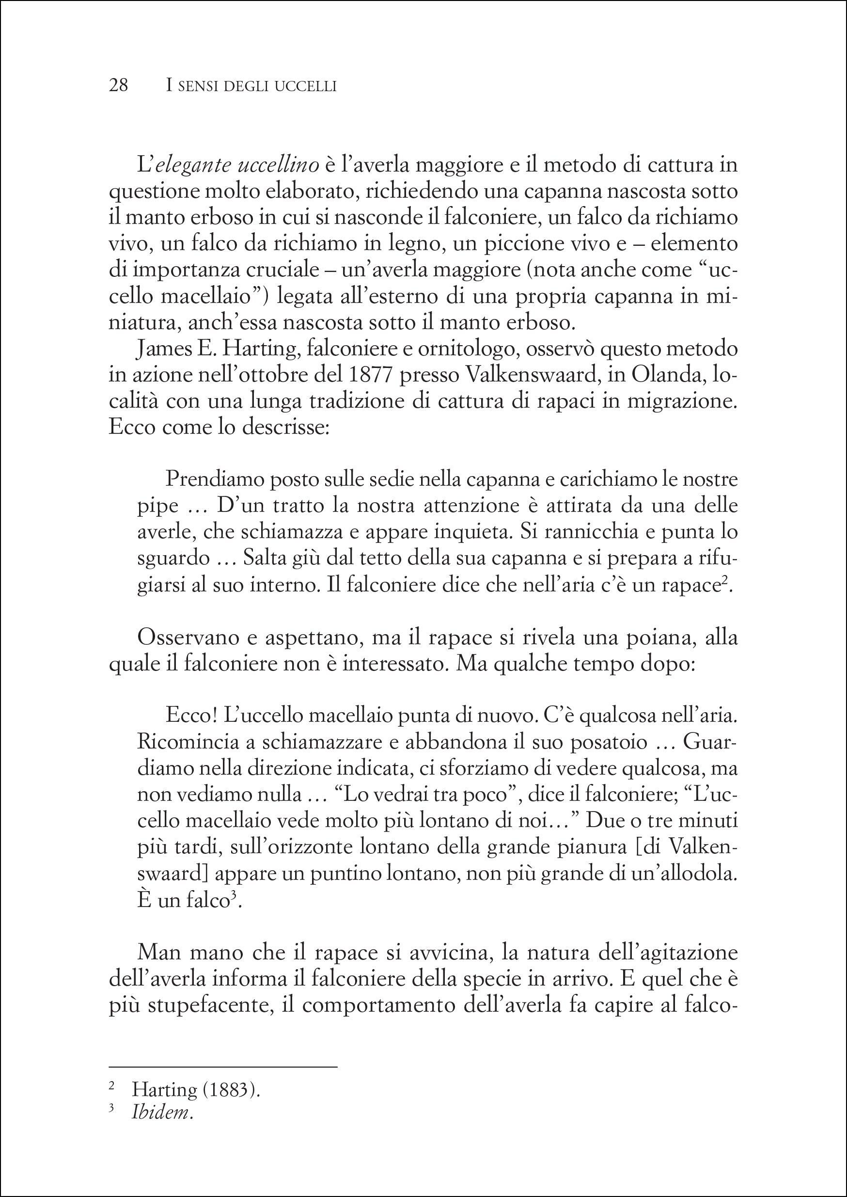 Ricca Editore Etologia I sensi degli uccelli libro saggio vista udito
