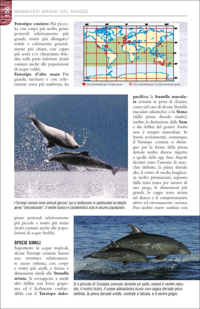 Ricca Editore Mammiferi Balene delfini e foche guida campo 129 specie