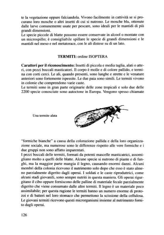 Ricca Insetti e Ragni Guida degli insetti d'Europa libro