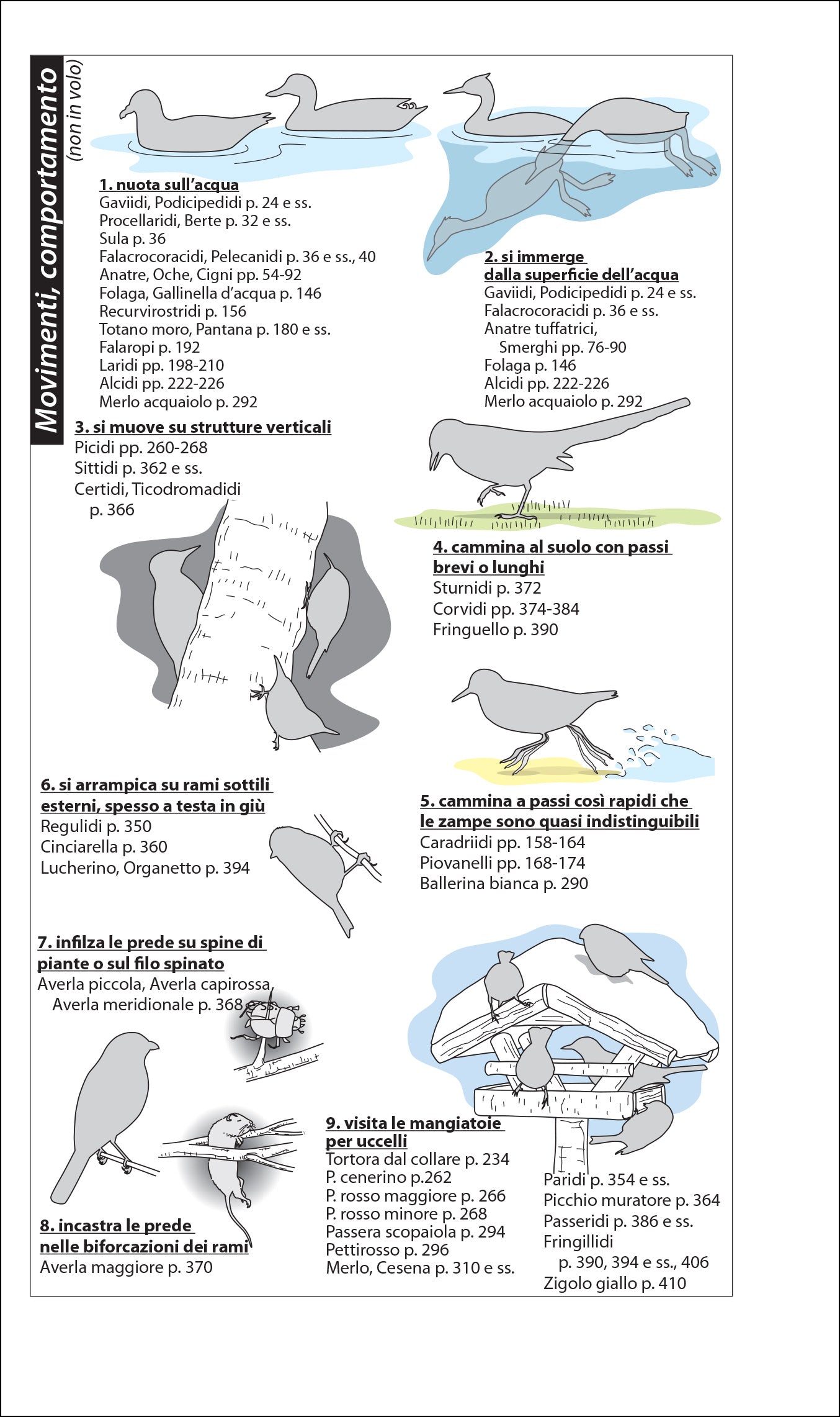 Ricca Editore Birdwatching facile guida 400 specie 1400 foto