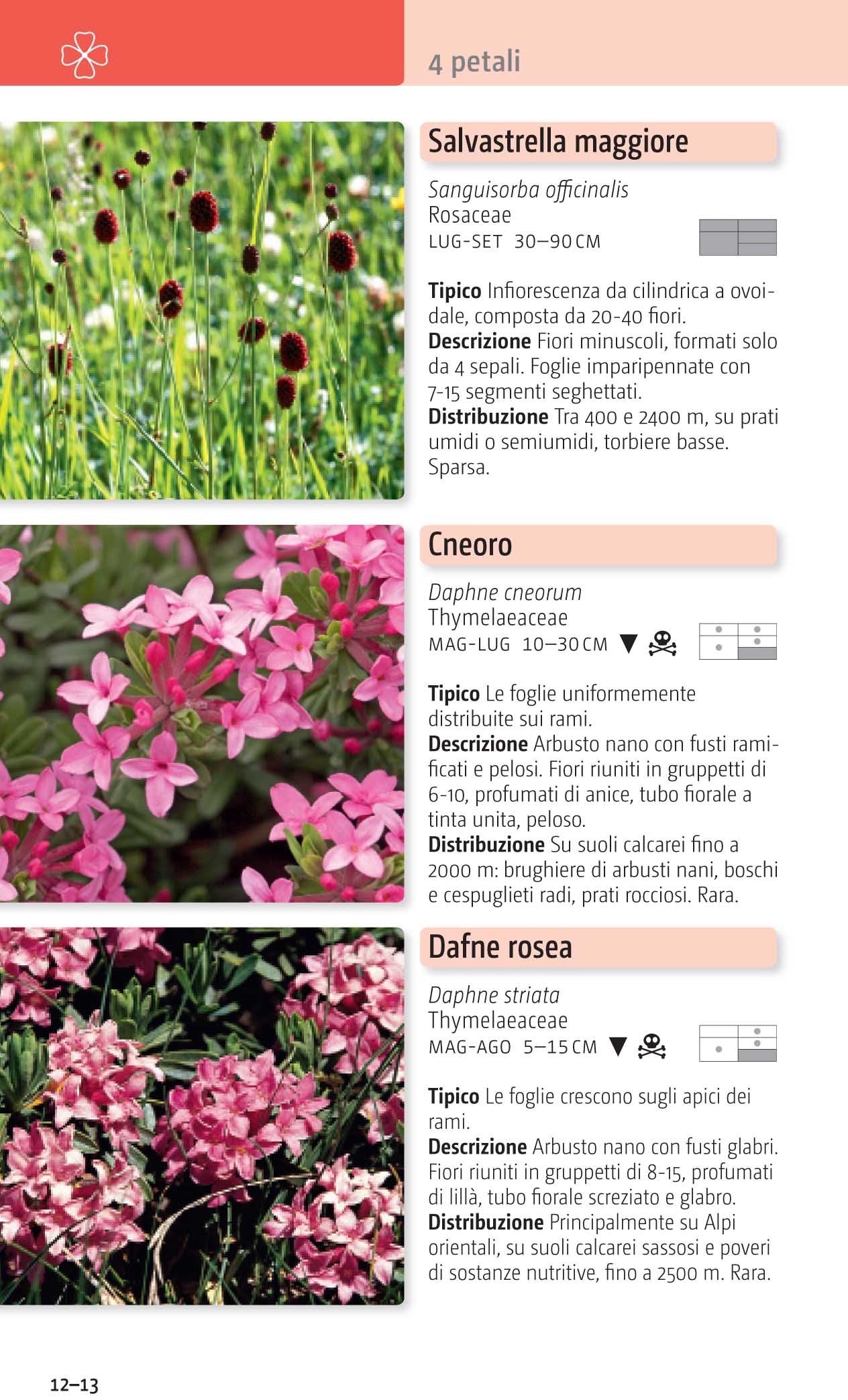 Ricca Editore Fiori delle Alpi guida 500 specie tascabile