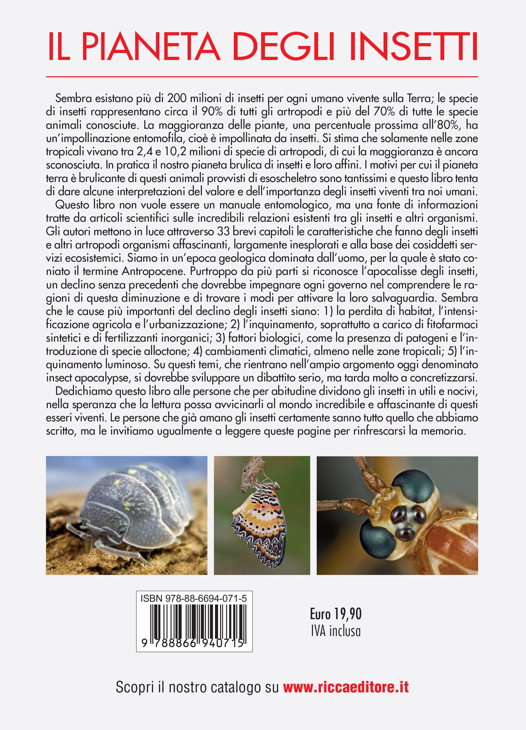 Ricca Insetti e Ragni Il pianeta degli insetti libro foto