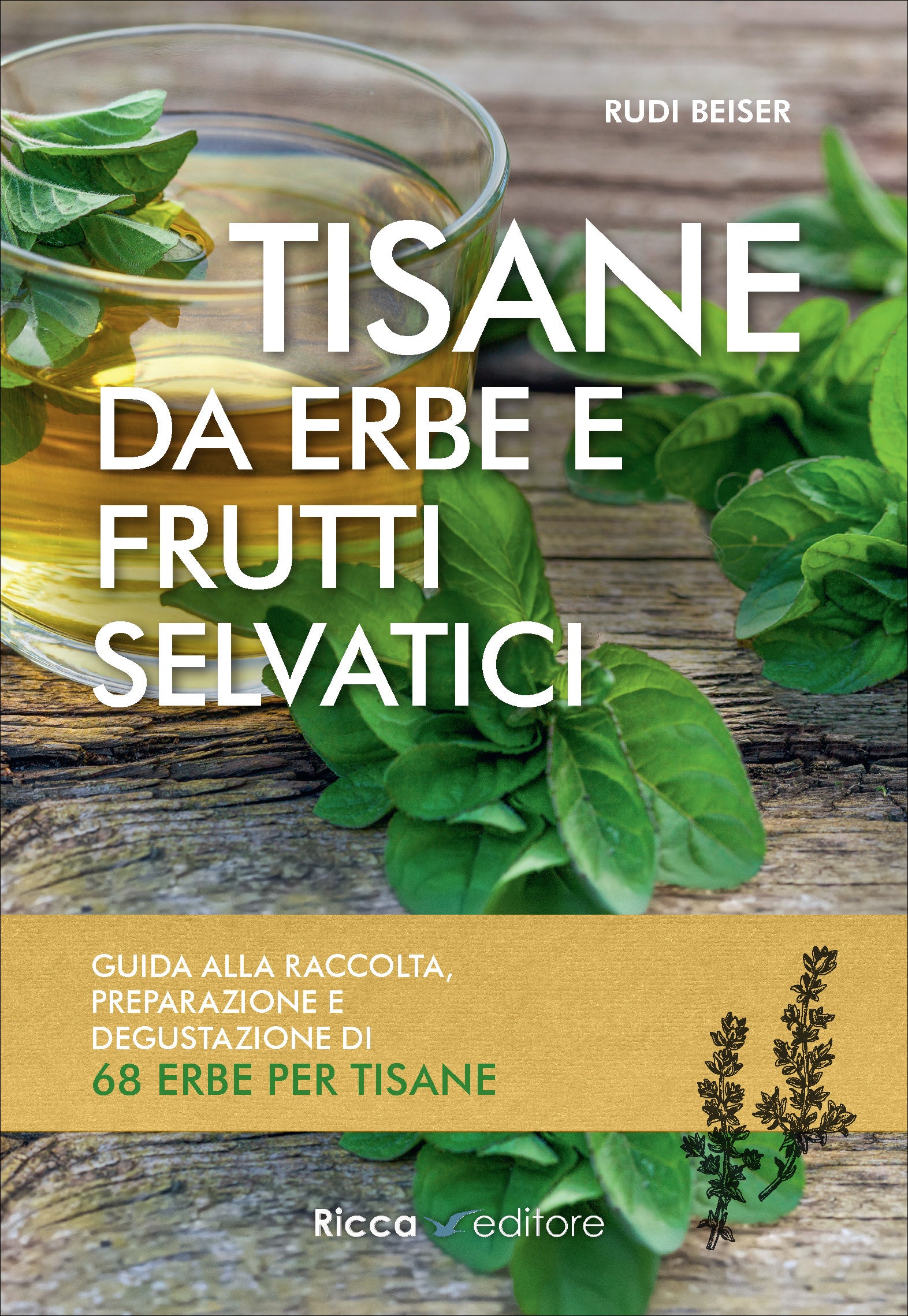 Ricca Scienze Gastronomiche Tisane erbe frutti selvatici manuale Beiser