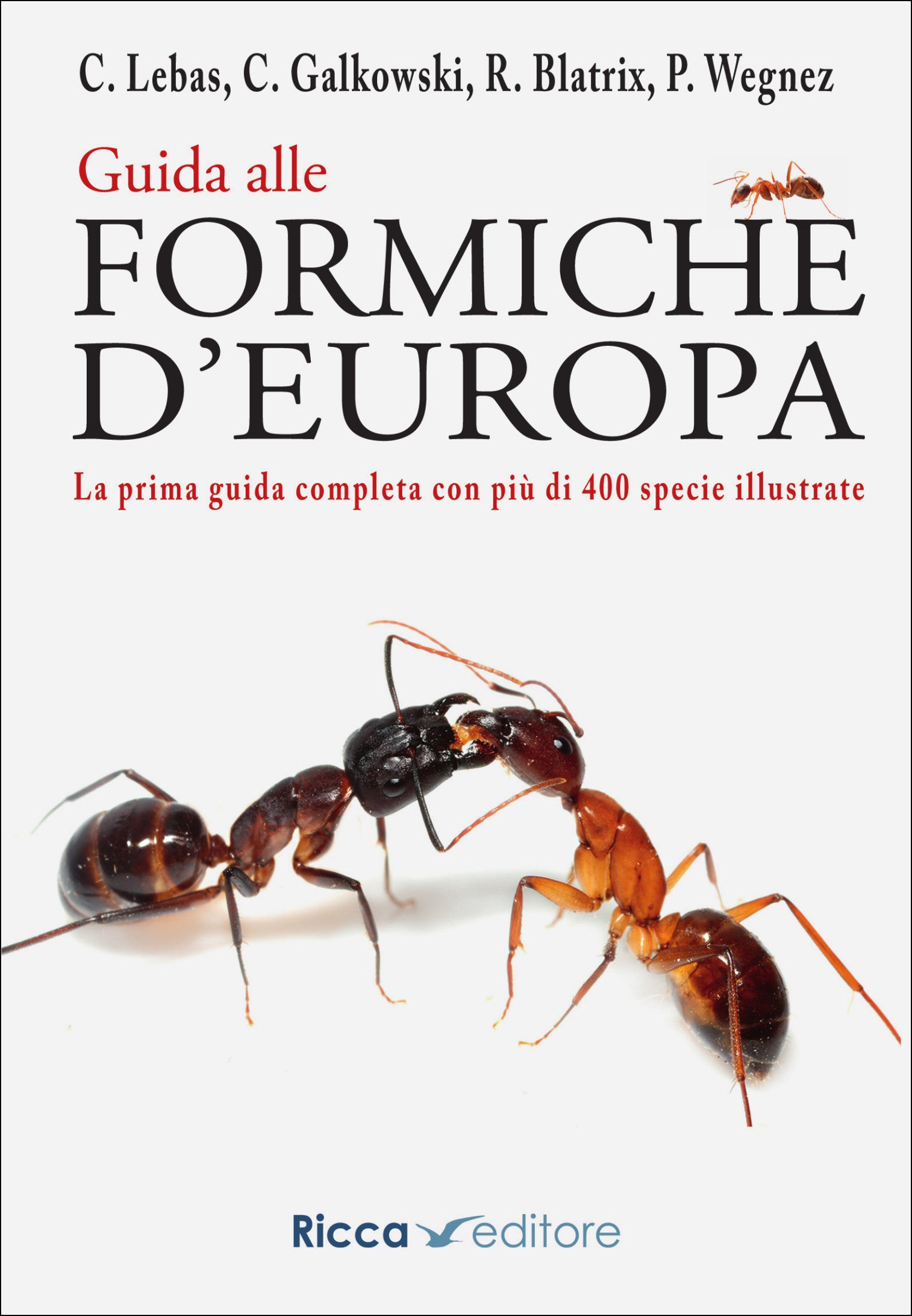 Ricca Editore Insetti Guida formiche Europa libro 400 specie