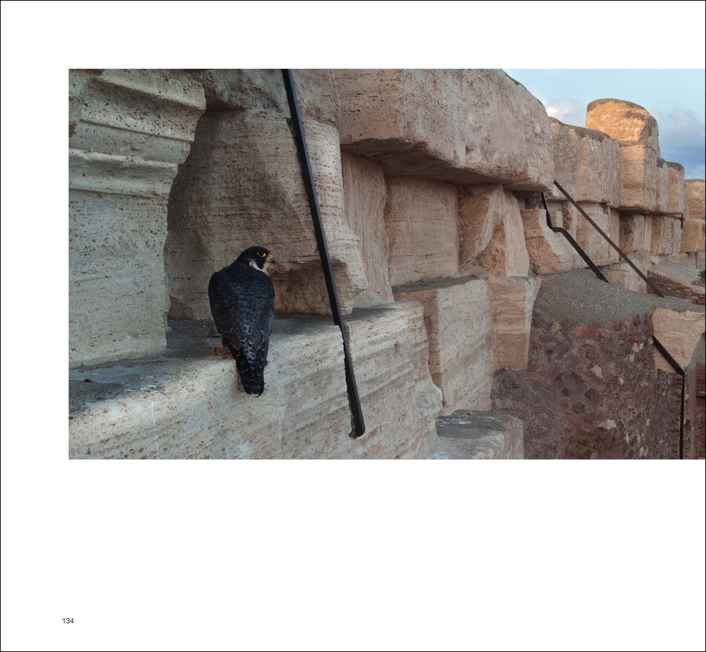 Ricca Storia e Natura SPECTIO libro fotografico Colosseo
