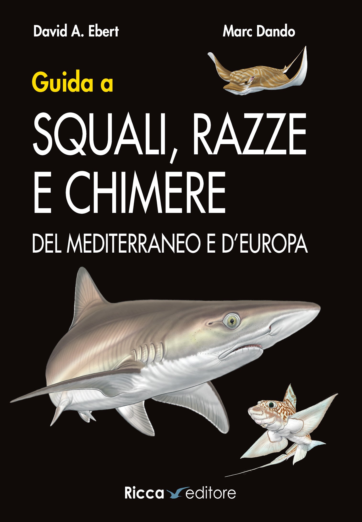 Ricca Editore Mare Guida squali razze chimere libro 146 specie