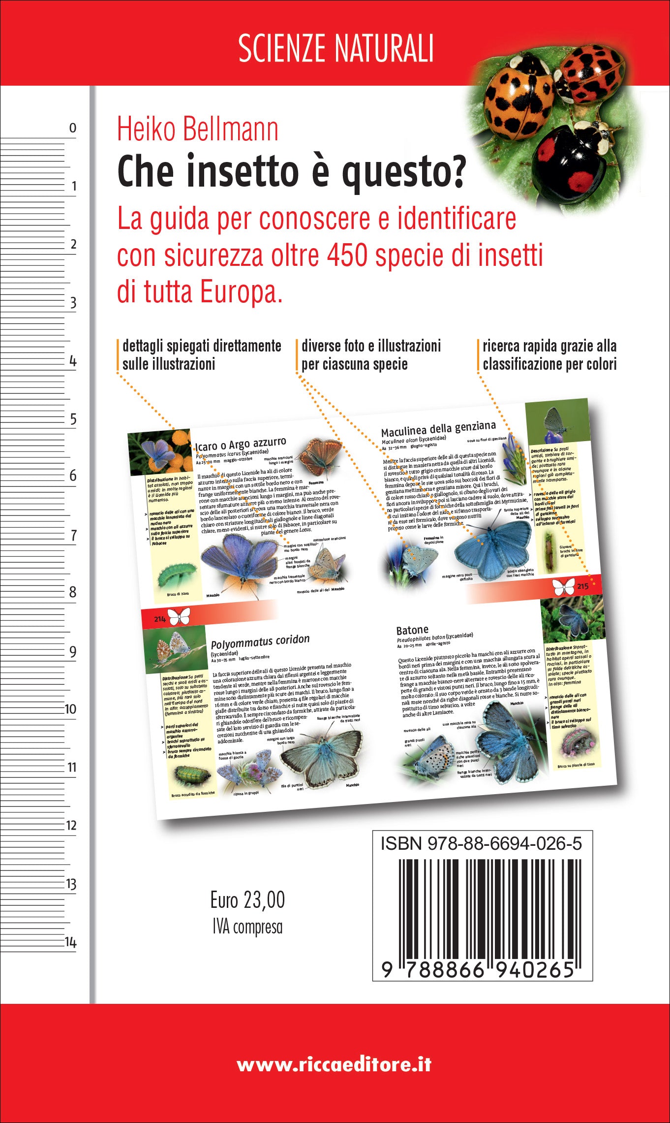 Ricca Editore Che insetto è questo? guida insetti 454