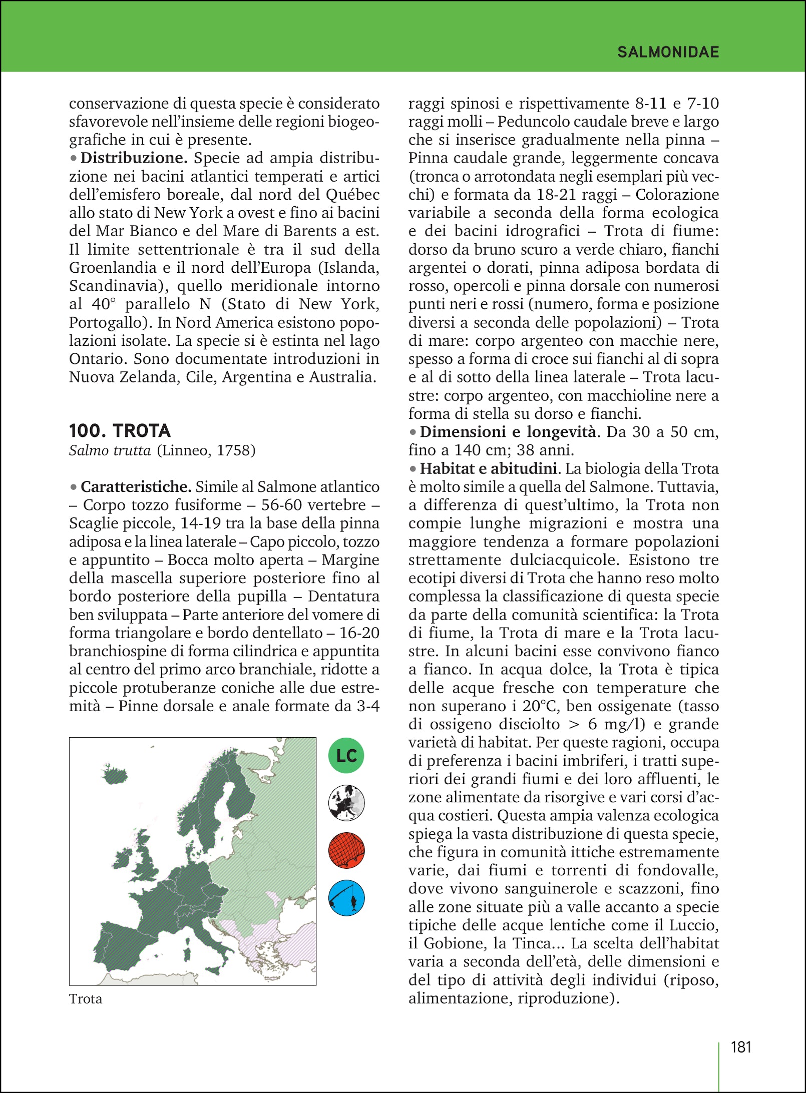 Ricca Editore Pesci acqua dolce Italia Europa manuale 155 specie