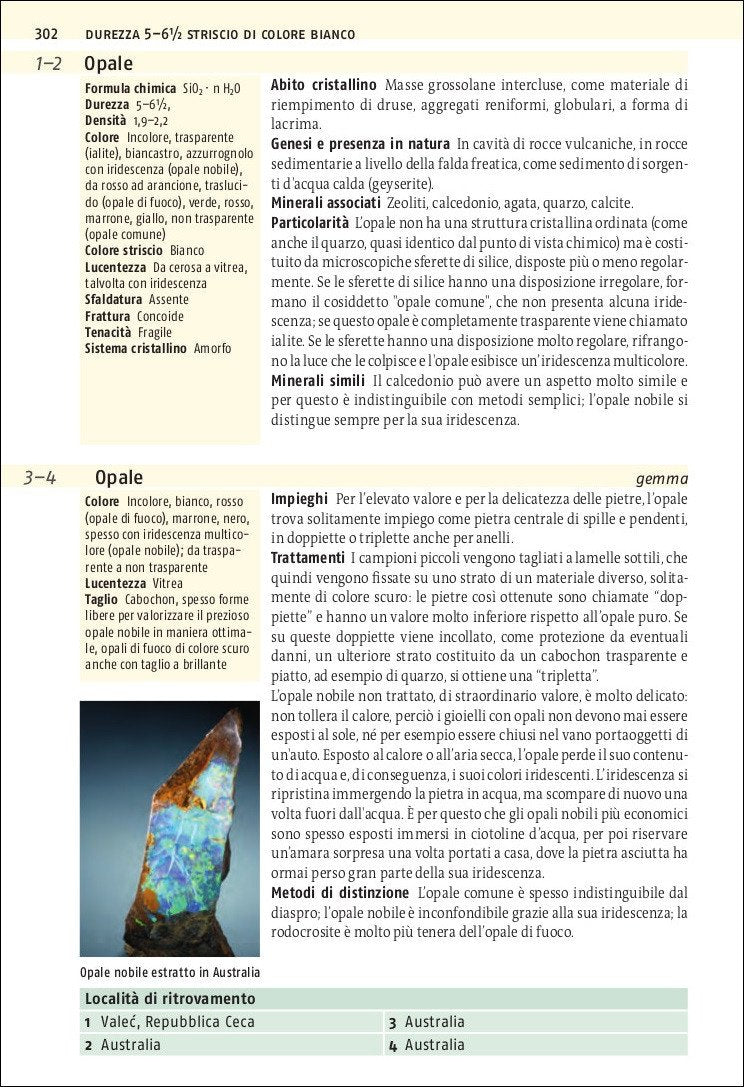 Ricca Editore Minerali Guida ai minerali libro 700 specie
