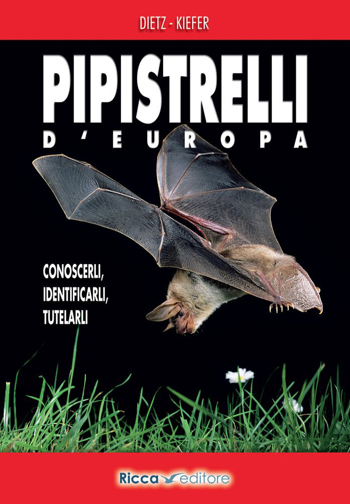 Ricca Editore Pipistrelli d'Europa manuale chirotteri con foto