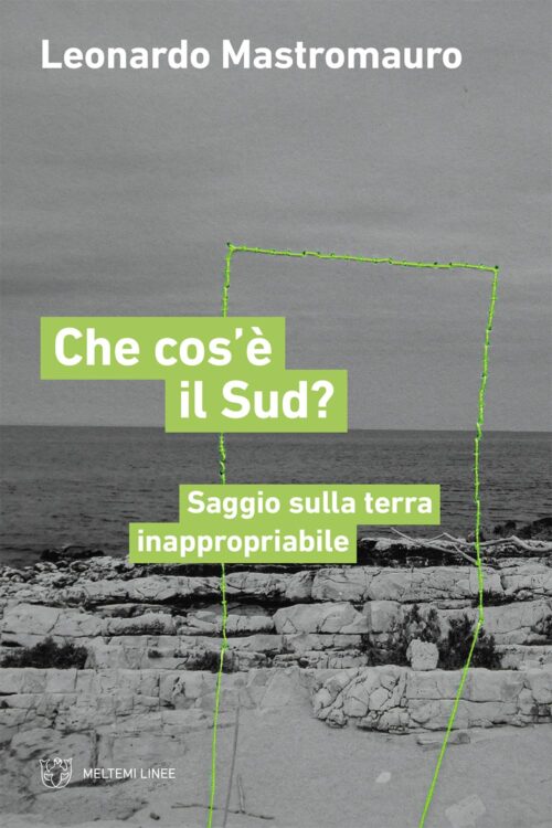 Che cos’è il Sud? libro Linee Meltemi