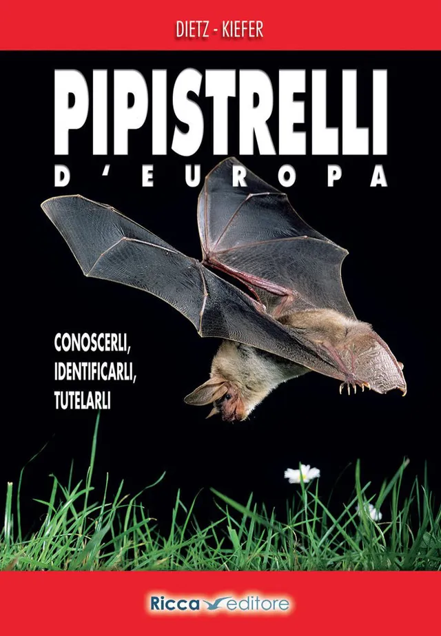 Ricca Editore Pipistrelli d'Europa manuale chirotteri con foto