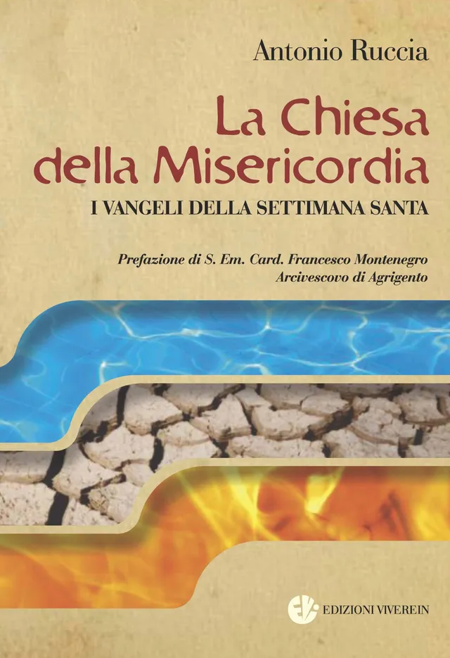 Viverein Fuori Collana La Chiesa della Misericordia libro