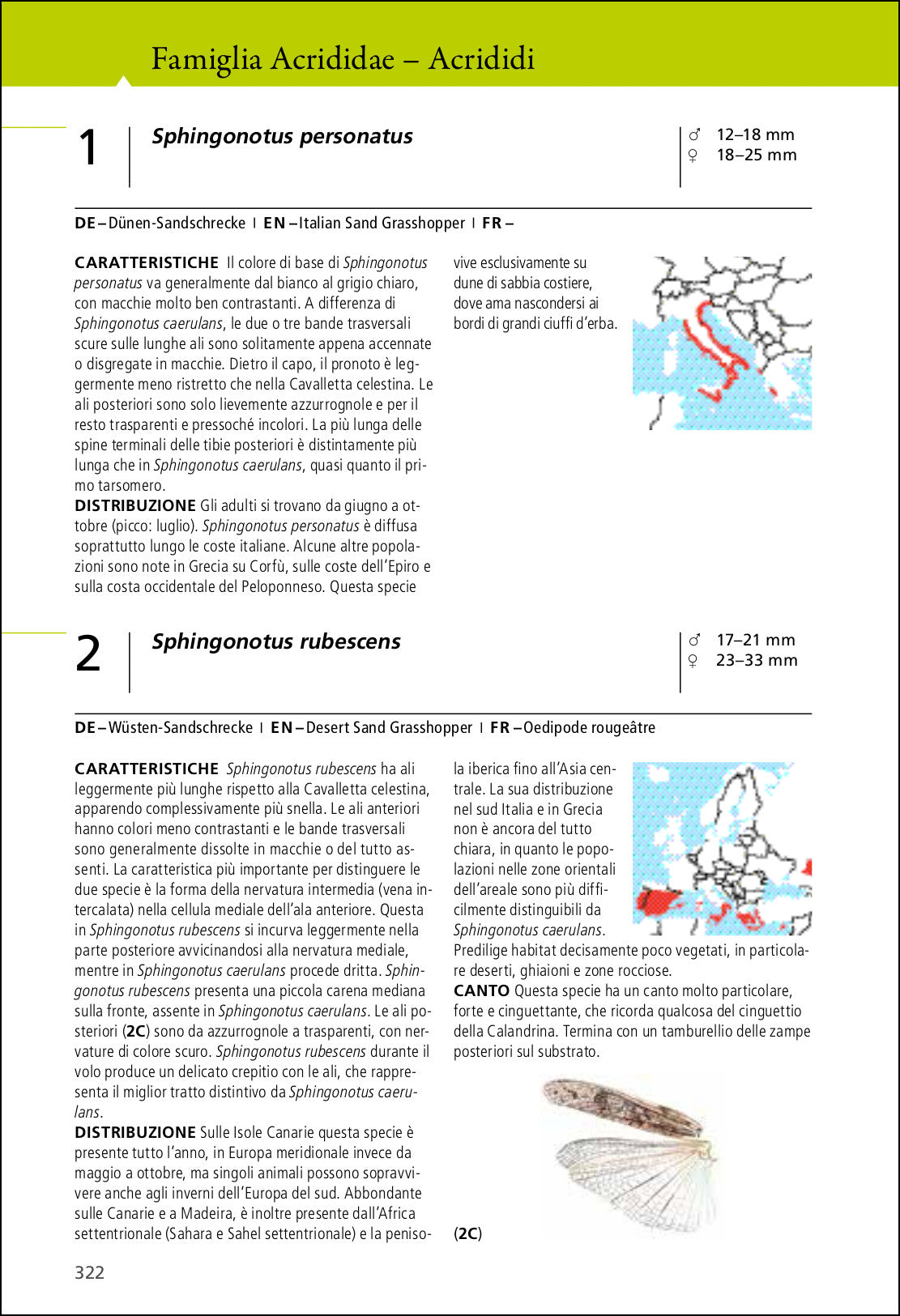 Ricca Editore Insetti Grilli e cavallette d'Europa libro 280 specie