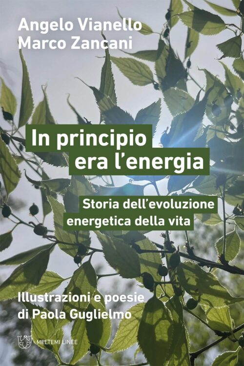 Meltemi Linee In principio era l’energia libro saggio energia