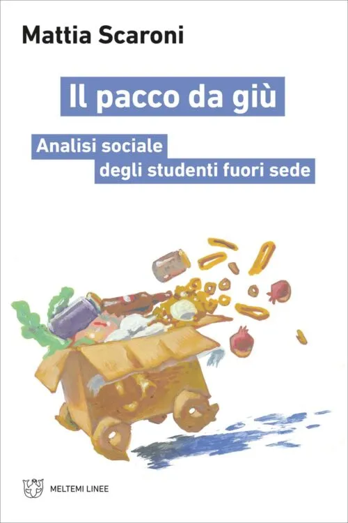 Meltemi Linee Il pacco da giù libro saggio società