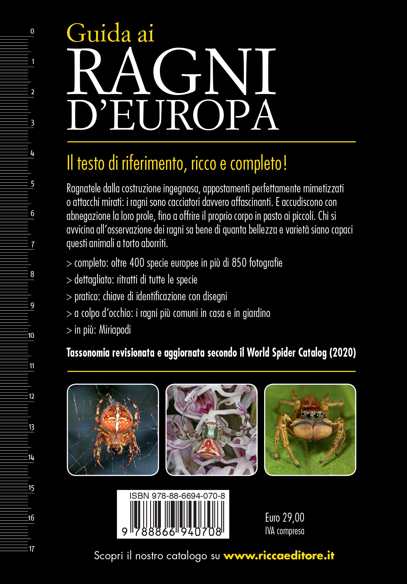 Ricca Editore Insetti e Ragni Guida ragni Europa libro 850 foto